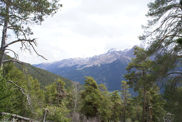 Obraz premium mountain landscape with trees