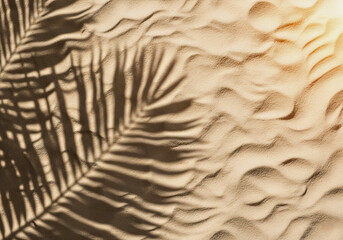 Desert Serenity: A captivating view of wind-sculpted sand, illuminated by the golden light, is enhanced by the delicate shadow of a palm leaf, evoking a sense of peace and the vastness of the desert.