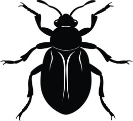 Beetle Silhouette. Black Vector Insect Illustration on White. Beetle Insect Outline. Black Vector Silhouette Icon.
