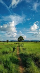 Fototapeta premium Grassy path leads to a lone tree in a vibrant green field, framed by a bright blue sky