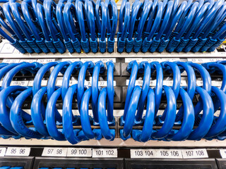 Network cables connected to a server