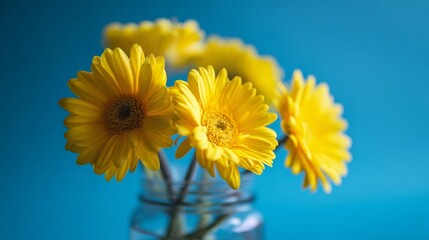 Bright yellow gerbera daisies arranged in a clear glass jar,