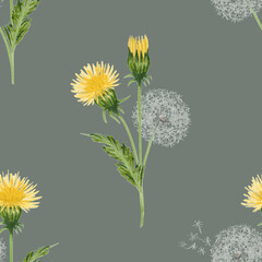 Seamless pattern with dandelion flowers. Print for fabrics, clothes, packaging etc