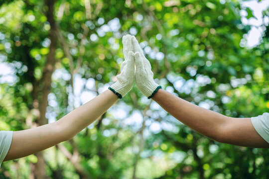 Environmental volunteers hands unite high five partnership success green nature conservation community support sustainable future