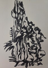 black and white background