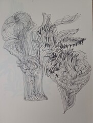 hand drawn sketch of a flowers