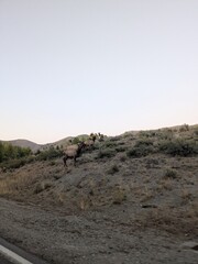 volcanic landscape in lanzarote