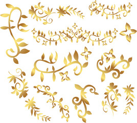 flower, botany, flower pattern loral, leaves, and flower collection vector design illustration	
