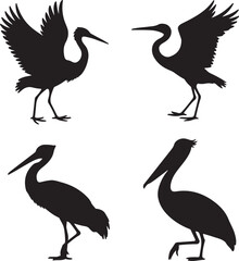 set of Crane, Heron, Stork, Pelican silhouette vector on white background
