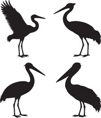set of Crane, Heron, Stork, Pelican silhouette vector on white background