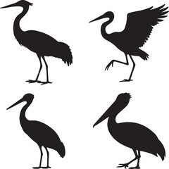 set of Crane, Heron, Stork, Pelican silhouette vector on white background