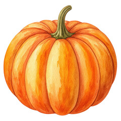 Obraz premium Pumpkin illustration watercolor style png watercolor pumpkin png painted pumpkin png pumpkin art png fall pumpkin png transparent background image