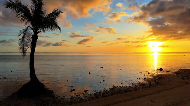 Carte postale