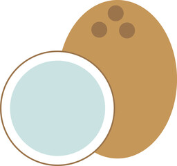 vector illustration of a coconut 