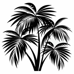 Obraz premium Palm leaves vector black design silhouette illustration on white background