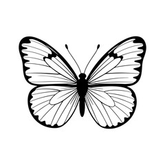 hand drawn butterfly stencil vector design