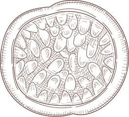 hand drawn vector illustration of a passion fruit 