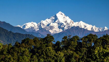 Mountain peak, snow-capped, lush forest