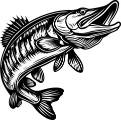 Dynamic northern pike leaping out of water with open mouth detailed line art