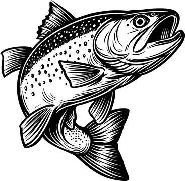 Dynamic black and white drawing of a trout leaping out of water for fishing enthusiasts