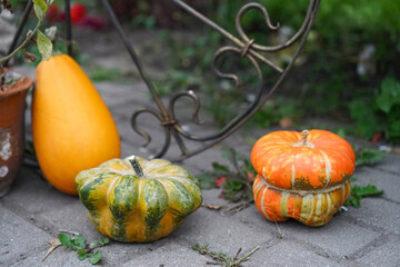 Decorative pumpkins displayed on a cobblestone path, showcasing a variety of shapes and colors in a rustic garden setting, perfect for autumn and harvest-themed decorations.

