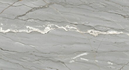 Elegant Gray Marble Texture Background for Interior Design