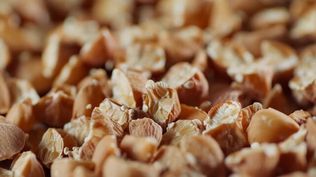 A pile of different grains with a focus on one grain in the center.