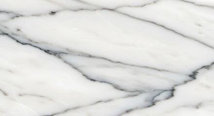 Obraz premium Elegant White Marble Texture with Gray Veins