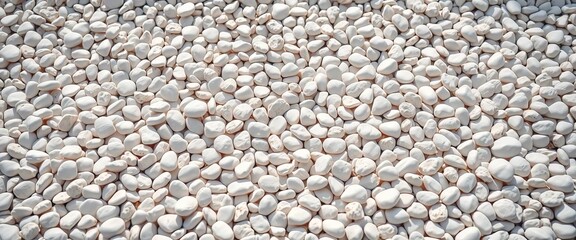 A scattering of smooth, white pebbles forms a textured background,  bright,  detail