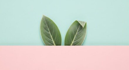 Two green leaves peeking over a pink surface, resembling bunny ears