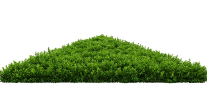Triangular Green Grass Mound with Transparent Background isolated on a transparent background