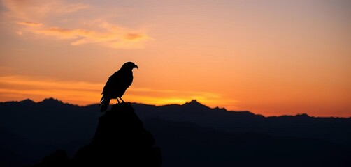 Dark silhouette of a bird of prey against a majestic mountain range at sunset,  eagle,  high
