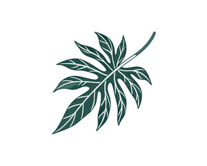 The Best Leaf Vector Design Free SVG Download