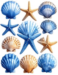 Assorted seashells and starfish