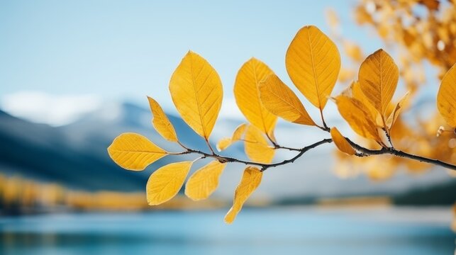 Close up of yellow leaves on branch by blue lake and mountains in blurred minimalist background