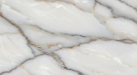 Onyx Marble Texture Background with Gold Veins