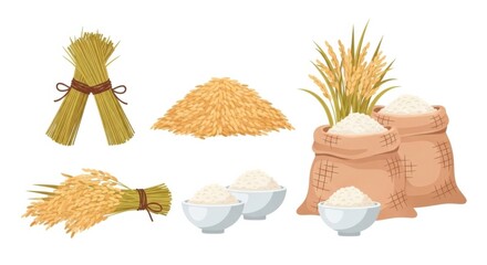 Collection of Rice Grains and Products in Various Forms.