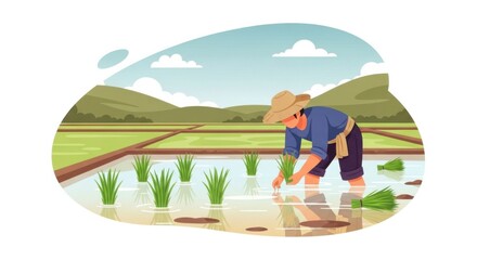 Farmer Planting Rice Seedlings in a Paddy Field.