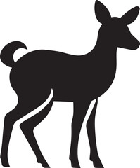 Key deer 