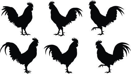hCollection of six rooster silhouettes in various poses vector illustration, domestic farm bird artwork for agriculture, poultry, rural design projects