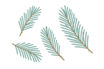 Naklejka premium Spruce fir tree branches creating christmas winter holiday evergreen plant pattern on transparent background