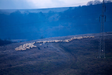 High voltage electric transmission tower.
