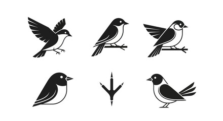 Charming collection of stylized birds and a single footprint on a clean white background.