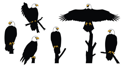 Set of majestic bald eagle vector illustrations with flying, perched, and branch poses, American wildlife bird silhouette design collection © Afsun Creative