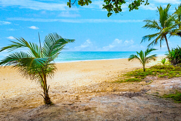 Araçatuba Beach, The beaches of Arraial da Ajuda are scenic, with clear, calm waters, coconut...