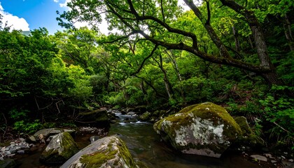 Obraz premium Lush forest stream scene (2)