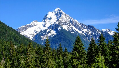 Obraz premium Mountain peak with snow and forest