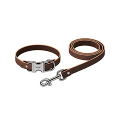 Brown leather dog collar and leash set with silver buckle