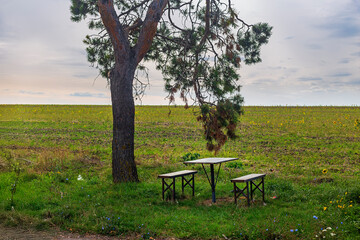 picnic table in the garden
