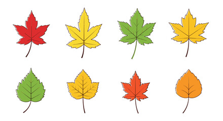 A collection of various colorful autumn leaves on a white background.